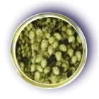 Hop