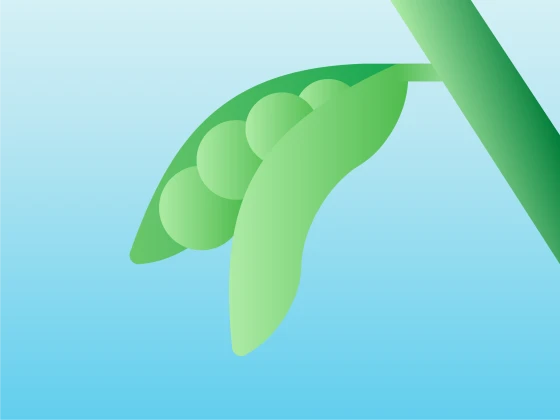 Illustratie van hopplant
